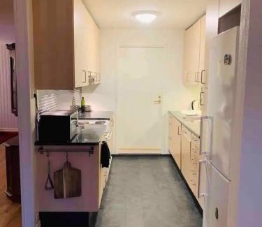 Krokelvdalen House | "Miracle Tromsø", Homestay with Friendly Hosts, Northern Light Trips and Car Rental Available