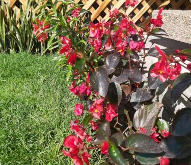Chimborazo Province Bed & Breakfast | Mirador de Bellavista Riobamba
