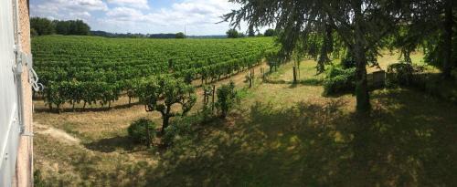 Montagne Apartment | Mirande Montagne-Saint Emilion