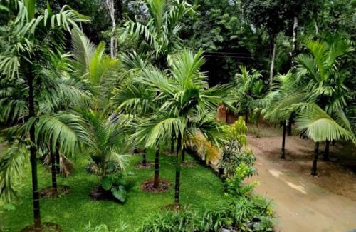 Mananthavady House | Mitra retreats