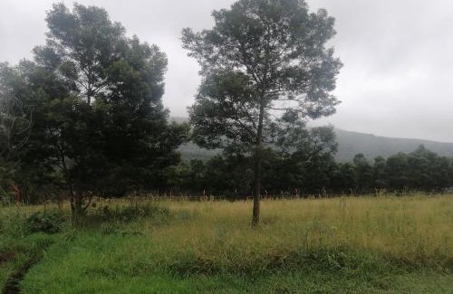 Amahlathi Apartment | MJlogistics