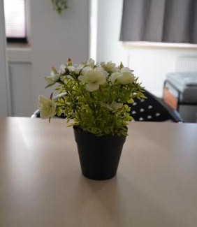 Delmenhorst Apartment | MK Apartment Delmenhorst 4 - Free Wifi - Free Parking - nähe HBF