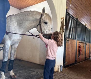 Greffeil House | Mobilhome dans écrin de verdure