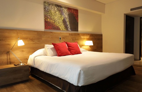 Historic Center Hotel | Mod Hotels Mendoza