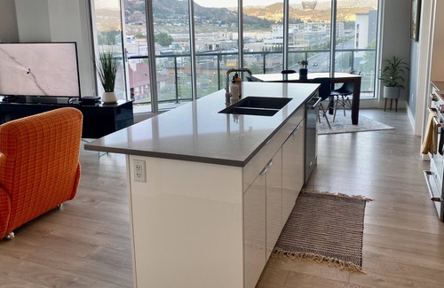 Cultural District Condo | Modern 2 Bed Condo - Steps From The Lake