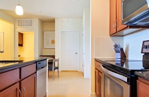 Lone Tree Apartment | Modern Apartment in Prime Location (ID3106X99)