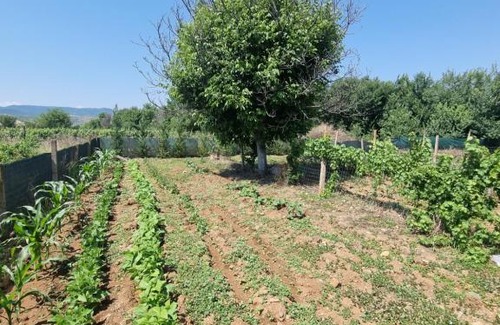 Demir Kapija House | Modern country house