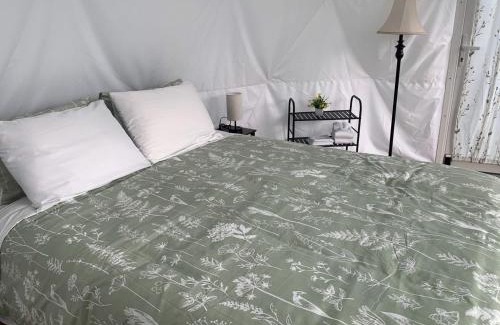 Canon City Other | Modern Dome for an Unforgettable Getaway with Incredible Views in Colorado