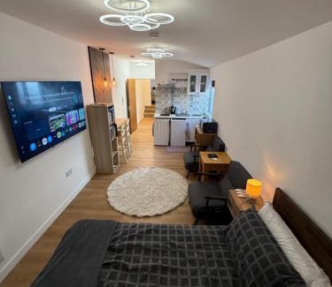 Bow House | Modern East London Apartment with Private Studio & Guest Rooms-Near Bow, Victoria Park