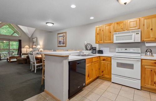 Lake Shore Condo | Modern Lakeview Apt w/Fireplace