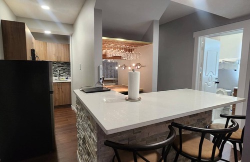 Northeast Edmonton Apartment | Modern luxury private suite w/modern bar, cozy washroom and bedroom -no stairs