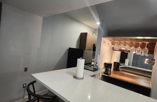 Northeast Edmonton Apartment | Modern luxury private suite w/modern bar, cozy washroom and bedroom -no stairs