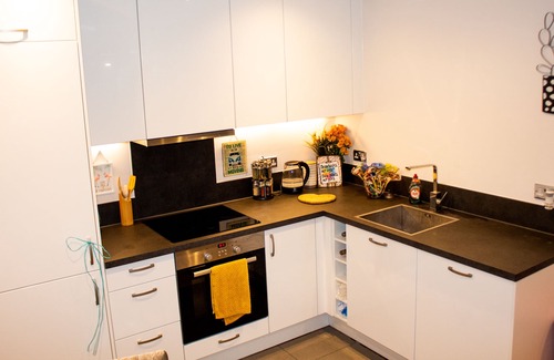 Reading House | Modern One Bed Flat- huge terrace area | Netflix