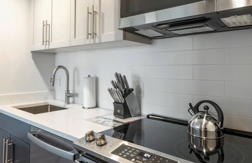 East Cambridge Apartment | Modern One Bedroom with Amenities in Cambridge, MA