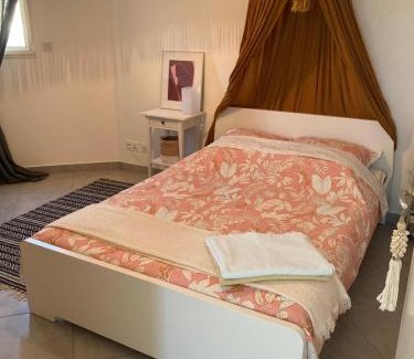 Pezenas House | Moderne Confort Familial Piscine naturelle 11mx3m
