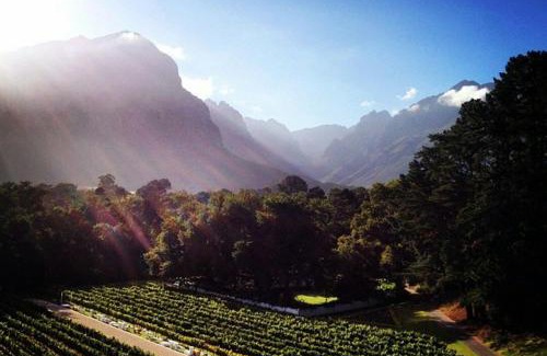 Cape Winelands House | MolenVliet Vineyards