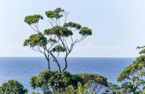 Mollymook Hotel | Mollymook Motel