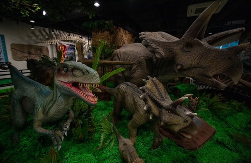 Daegwallyeong Apartment | Mona Yongpyong Greenpia Condominium