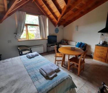 Lanin National Park Apartment | Monoambiente amplio con piscina