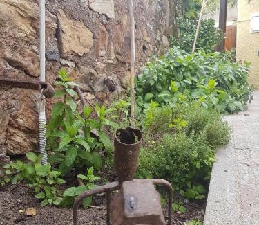 Rio Marina Apartment | Monolocale con veranda e giardino a Rio Marina