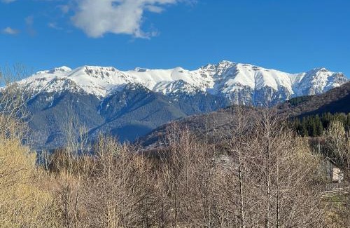 Moieciu Cabin | Mont Crai