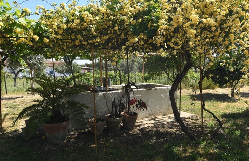 Evoramonte House | Monte Évora, se Gosta de Campo