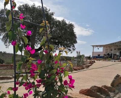 Reguengos de Monsaraz House | Monte Beatriz