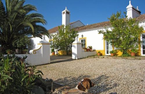 Redondo House | Monte da Japonica