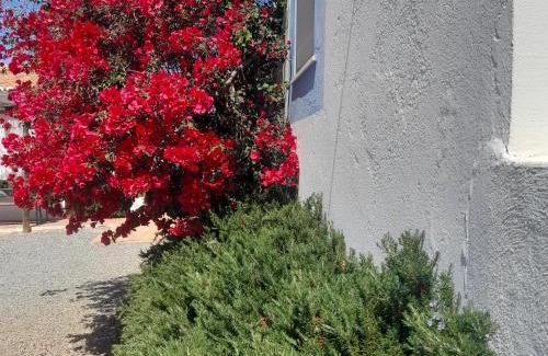 Altura Resort | Monte da Lagoa