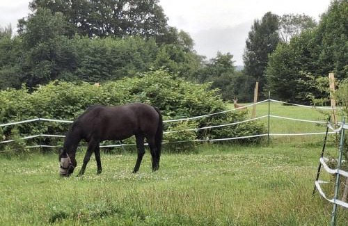 Nettelsee Apartment | Monteurwohung Nettelsee