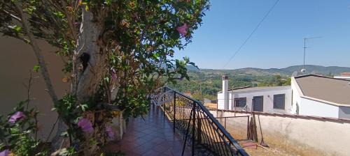 Poggio Moiano Bed & Breakfast | Moon Ash - Cenere di Luna