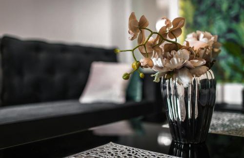 Zielona Gora Apartment | Moonlight Apartament