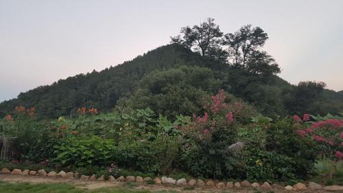 Cheongsong House | Moonlight House