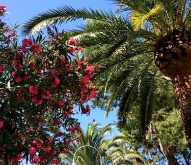 San Benedetto del Tronto Apartment | Mora Mora - Apartments