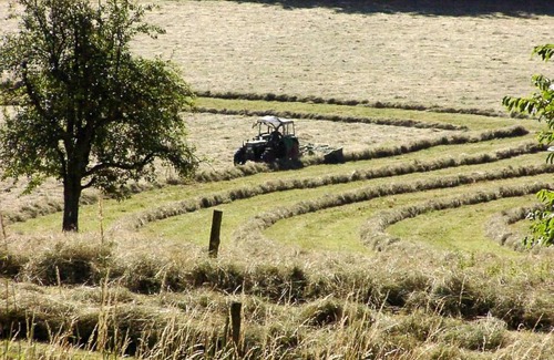 Ober-Hambach Hotel | Morgentau Appartement