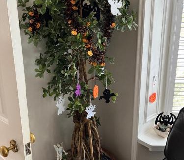 Morpeth House | Morpeth town centre - Cottingburn House