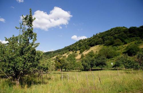 Kenn Apartment | Moseltraum-Villa Kenn bei Trier