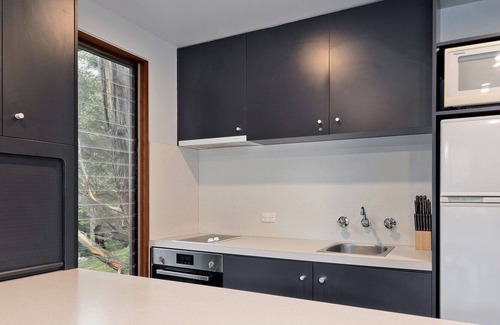 Thredbo Ski Chalet | Mosswood 3 - Woodridge