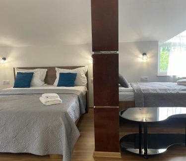Deva Hotel | Motel Maestro