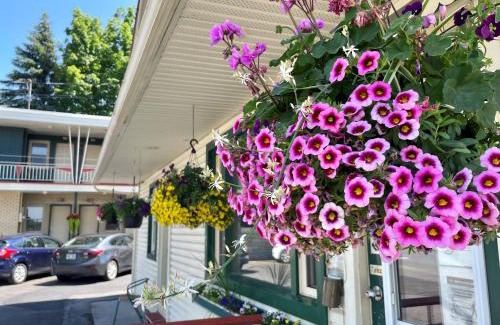 Mont-St-Hilaire Hotel | Motel Saint-Hilaire