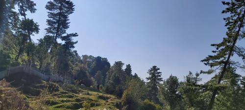 Murree Hotel | Mount Heaven Hotel Murree