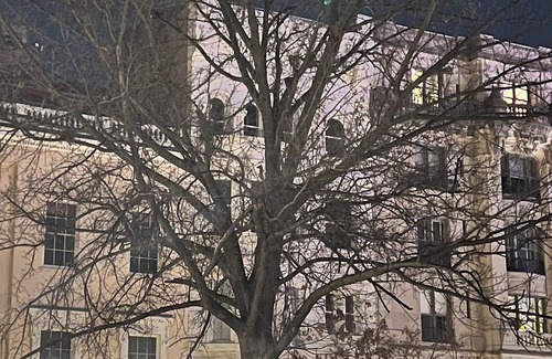 Mount Vernon Apartment | Mount Vernon Apartment Middle