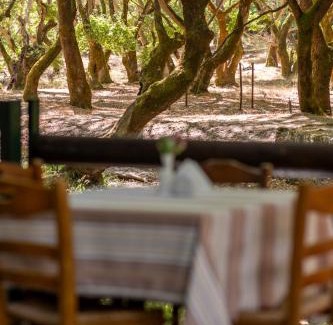 Kalavrita Apartment | Mountain Hotels "Aroanides"