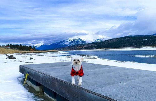 East Kootenay House | Mountain & Lake Koocanusa + Nearby Fernie