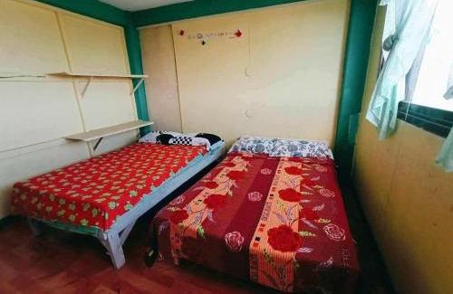 Luzon House | Mountain Pine Breeze