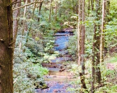 Blue Ridge House | Mountain Ridge Retreat Blue Ridge