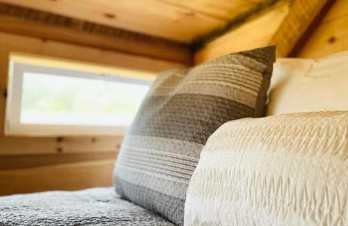 Newport House | Mountain Roots