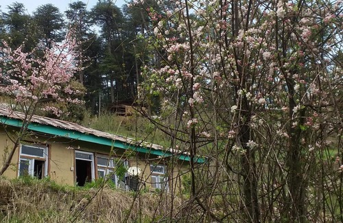 Banjar Other | Mountain Top View Homestay