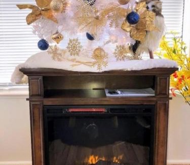 Whittier Villa | Mountain View #615