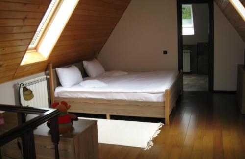 Rasnov Apartment | Mountain view apartment Predeal